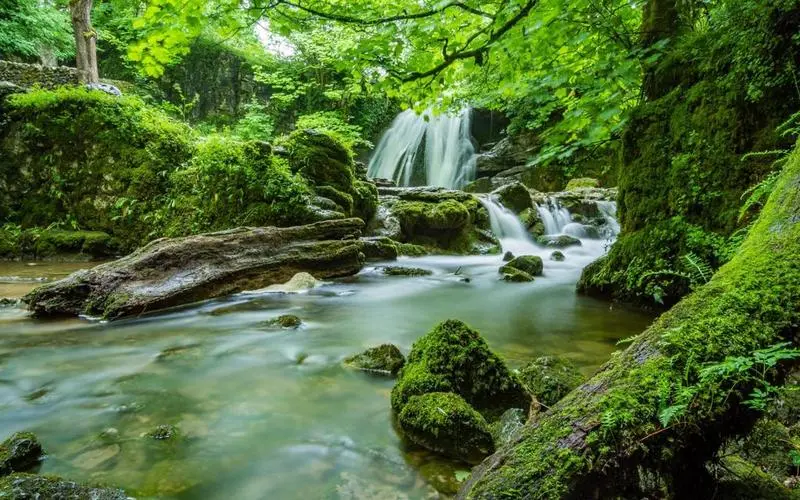 高性能稳定性